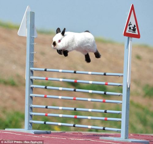 Image credit: http://www.dailymail.co.uk