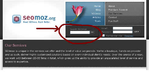 search box