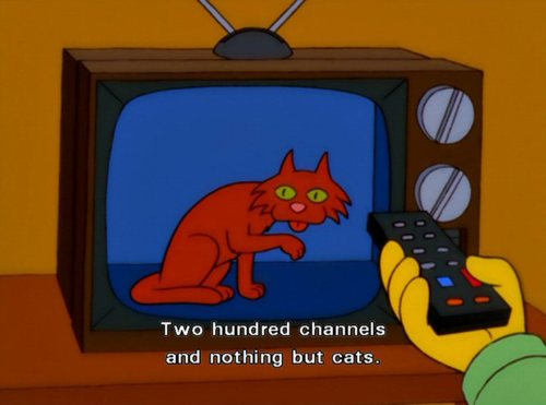 All cats