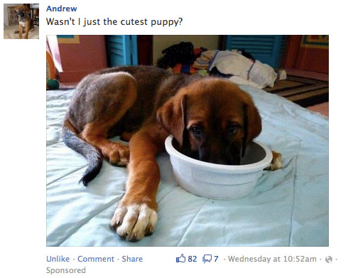 Facebook Promoted Posts